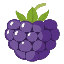 BlackBerry Token logo
