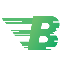 Bitcashpay (new) logo