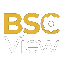 BSCView logo