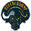 BuffaloSwap logo