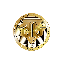 Diamond Boyz Coin logo