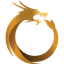 Dragon Coins logo