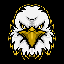Eagle Vision logo