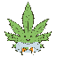 Kush Finance logo