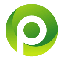 PBS Chain logo