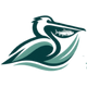 Pelican Aqua Holding logo
