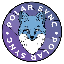Polar Sync logo