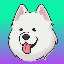 Samoyedcoin logo