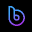 bDollar Share logo