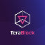 TeraBlock logo