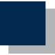 Viscom SE logo