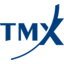 TMX Group
 logo