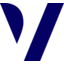 Vimian Group logo