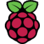 Raspberry Pi logo