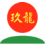 Nine Dragons Paper logo