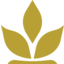 Arabian Mills for Food Products logo