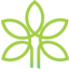 Takaful Oman Insurance SAOG logo